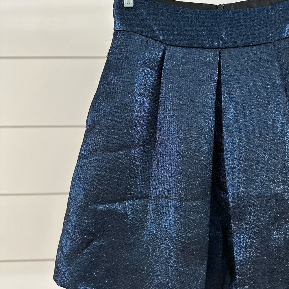 Zara Basic Blue Shiny Skirt